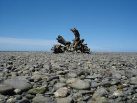Collingwood Beach