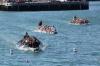 Wellington Dragon Boat Festival 2014