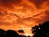Fire in the Sky