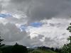 Reaching for the clouds!
