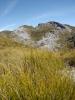 Mount Arthur