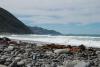 Oaro Beach Surf 2
