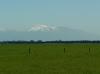 Nice Otago View
