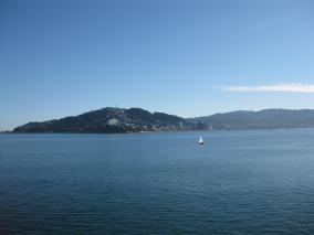 Sailing in Oriental Bay