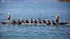 Wellington Dragon Boat Festival