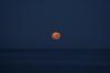 Full Moon