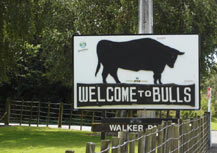 Welcome to Bulls